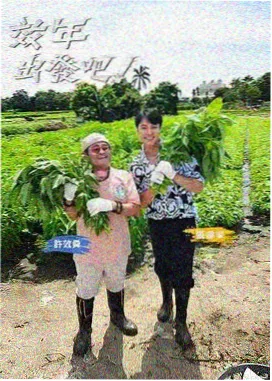 四妻子影院实景推理综艺《这就是推理现场》海报
